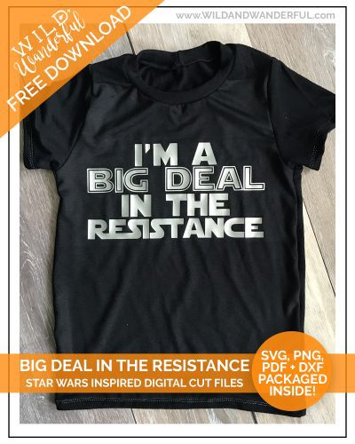 I’m a Big Deal in the Resistance :: Star Wars Day 2017